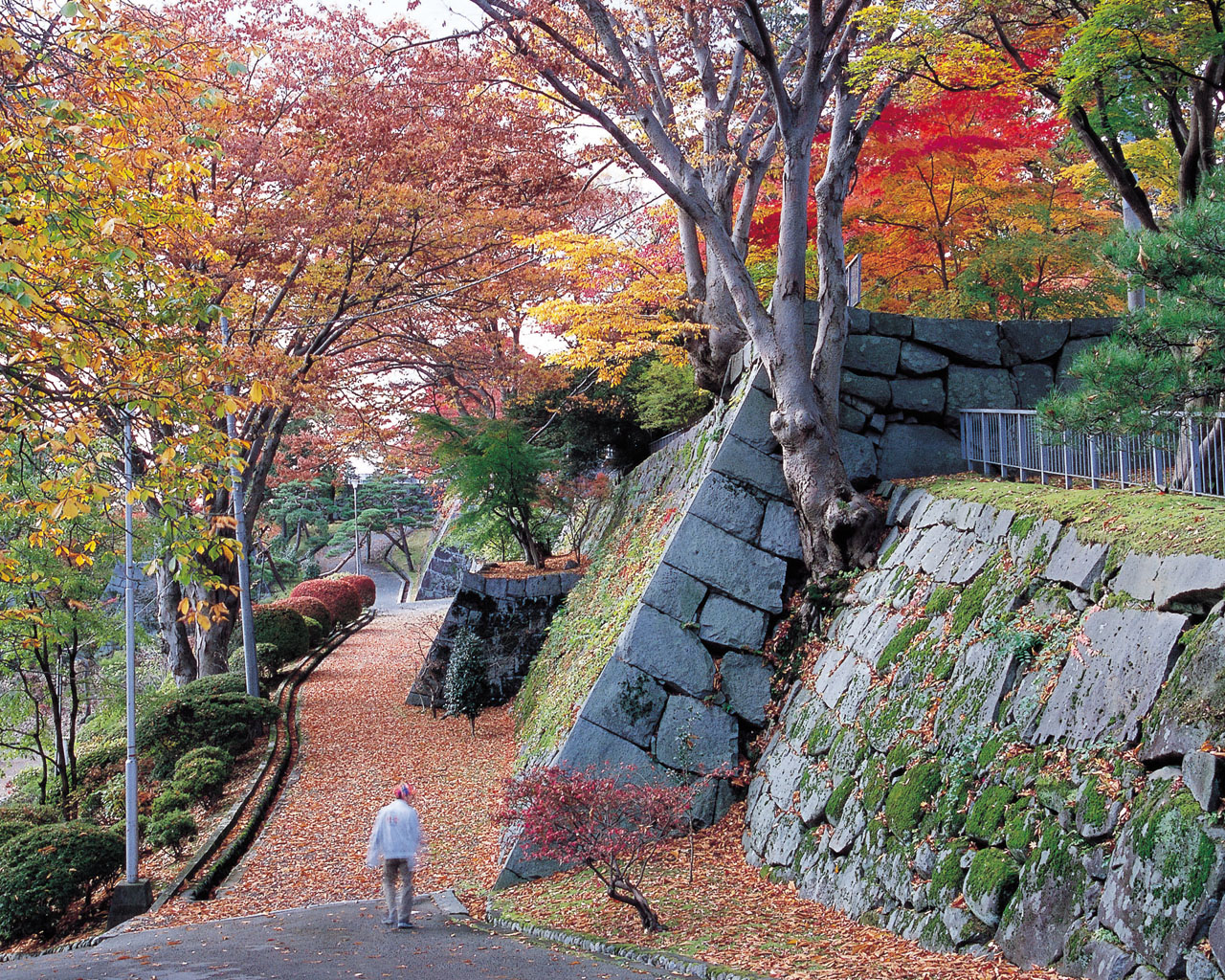 盛岡城跡公園の風景